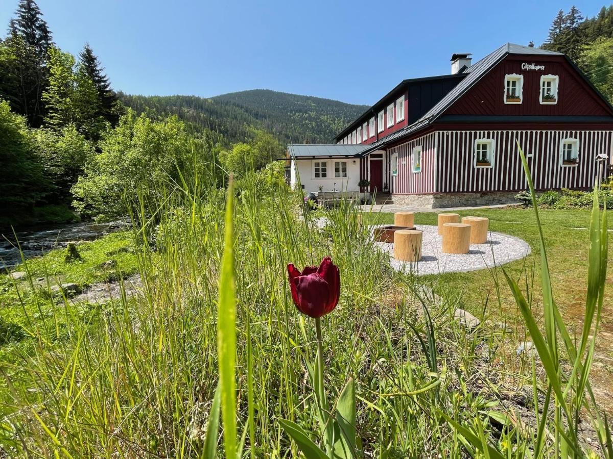 Appartement Challupa